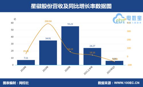 2021年三大跨境卖家业绩对比 泽宝亏损超10亿领跌，电子产品销售面临挑战